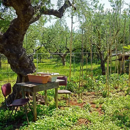 Villa Veni Olive House Kalamata Exterior foto