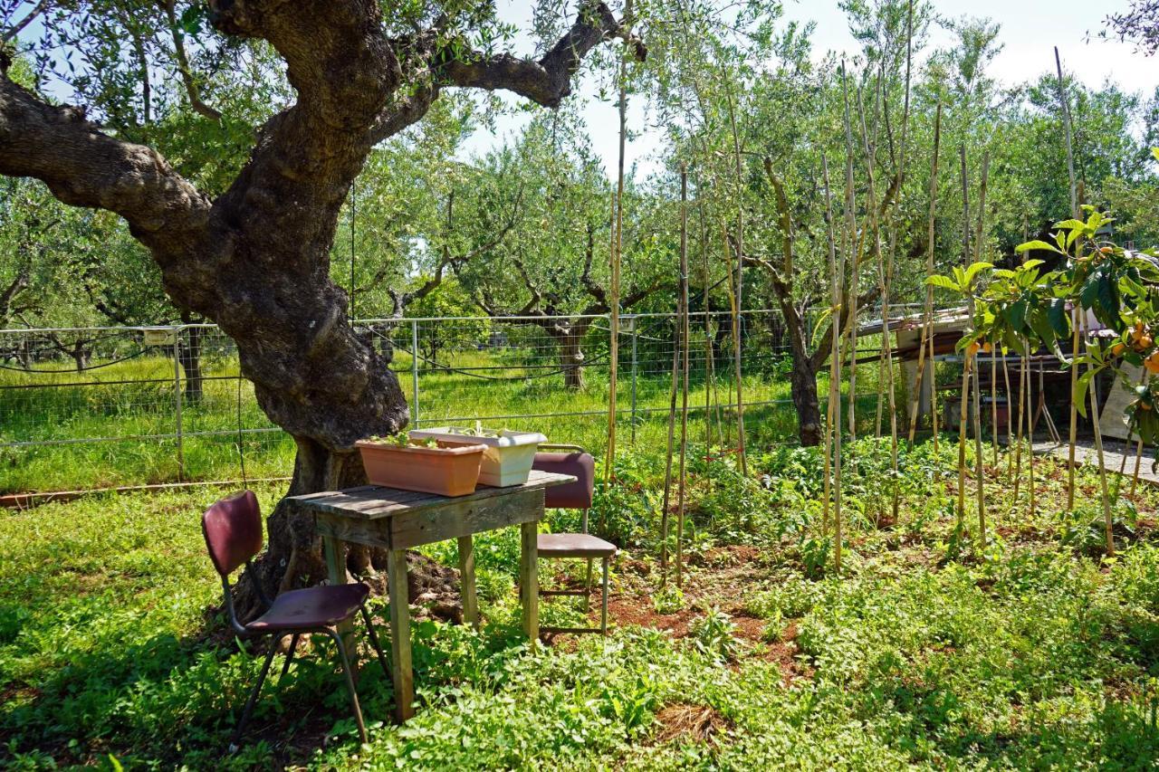 Veni Olive House Holiday home *