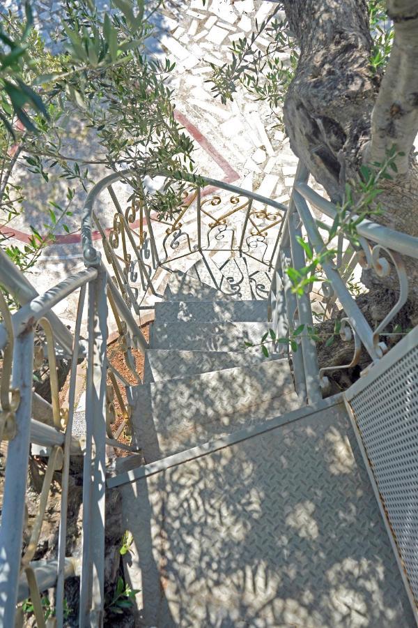Veni Olive House Holiday home