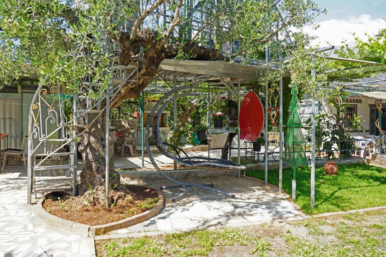 Veni Olive House Holiday home *