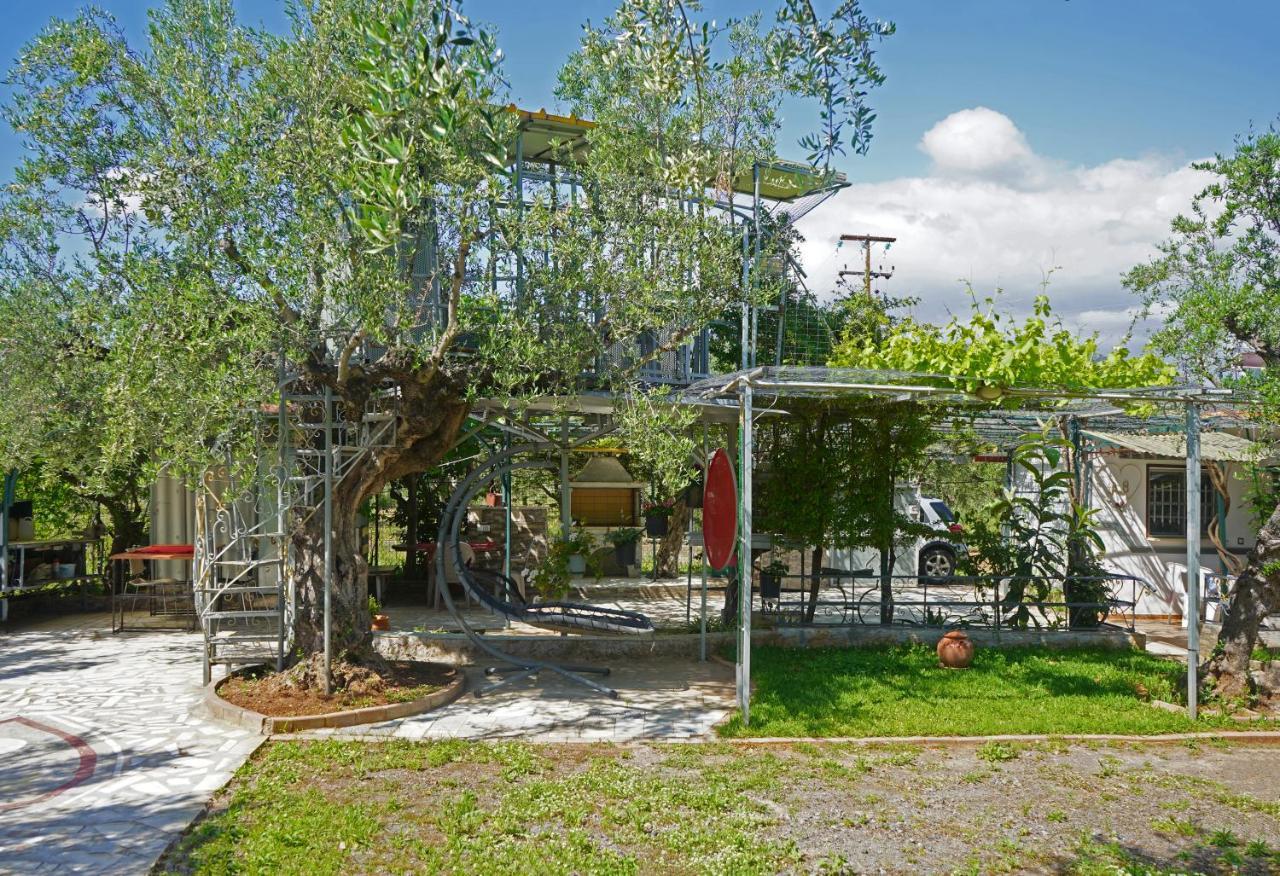 Veni Olive House * Kalamata