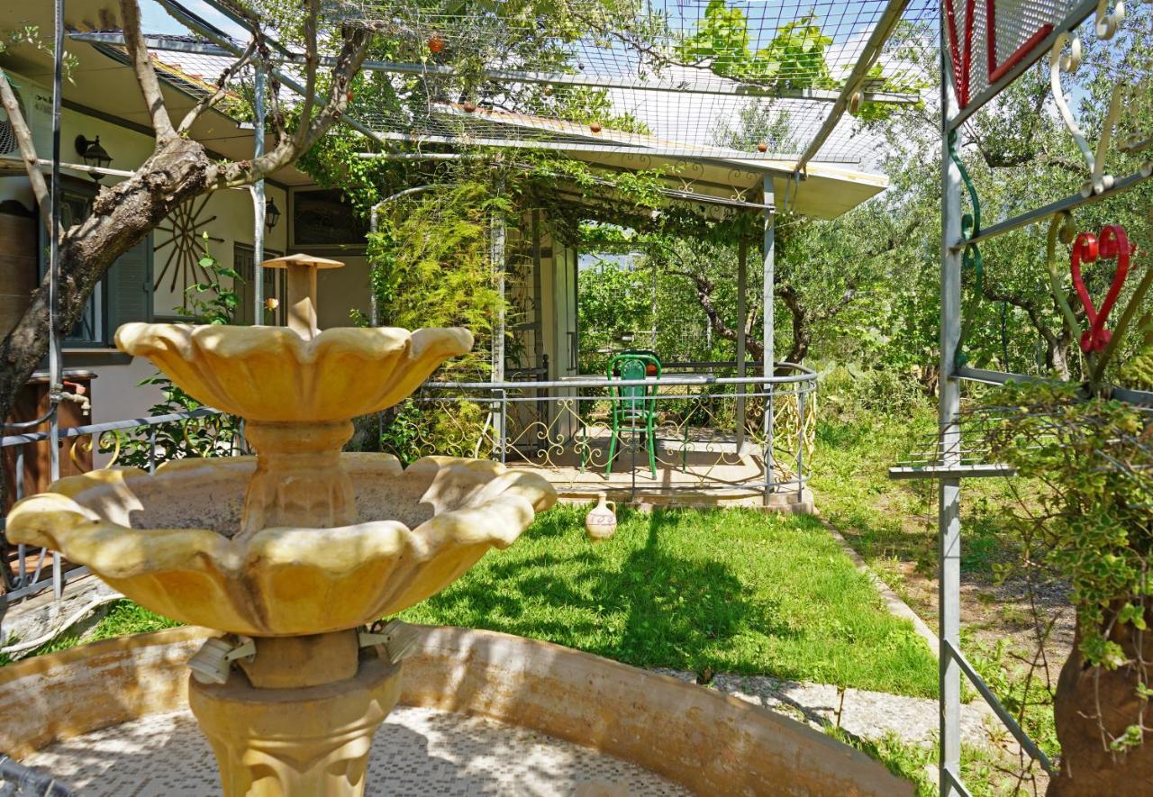 Veni Olive House *