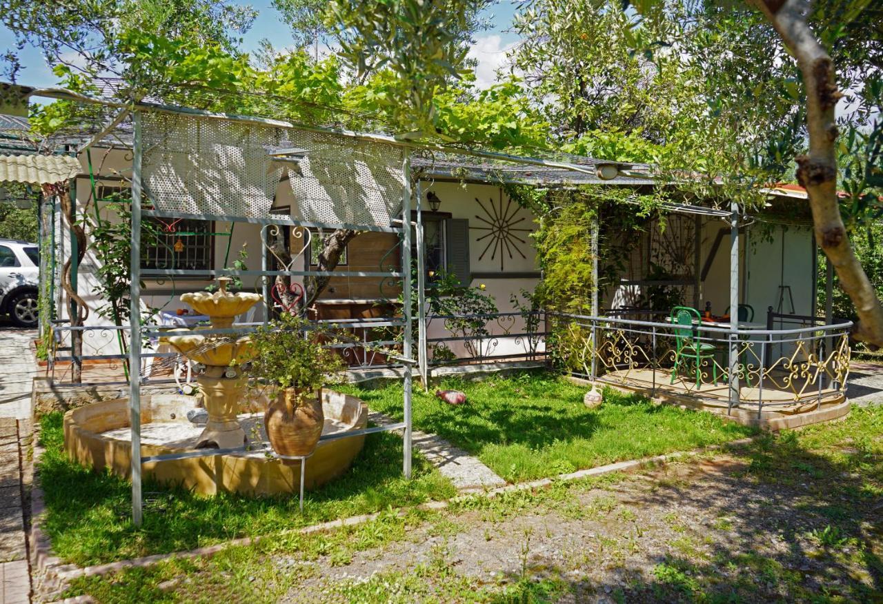 Veni Olive House *