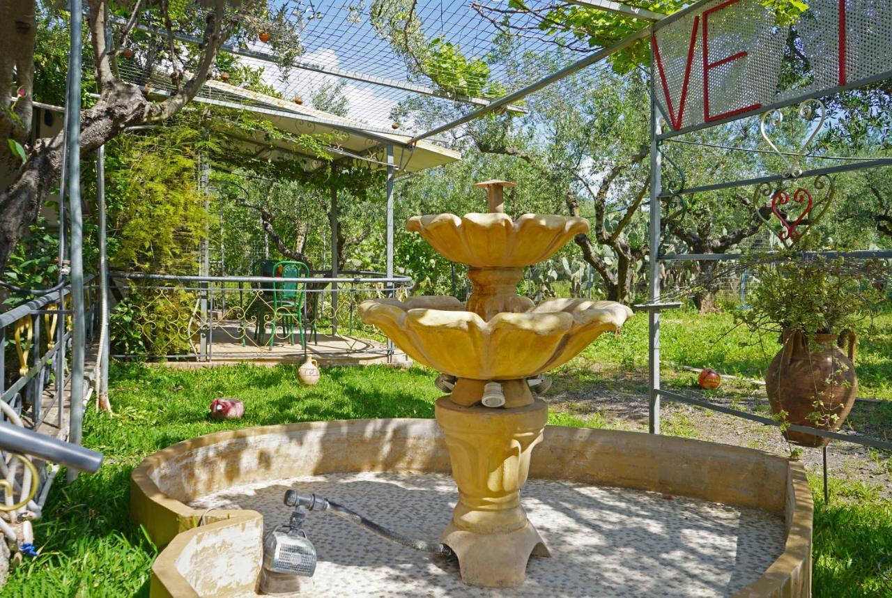 Veni Olive House